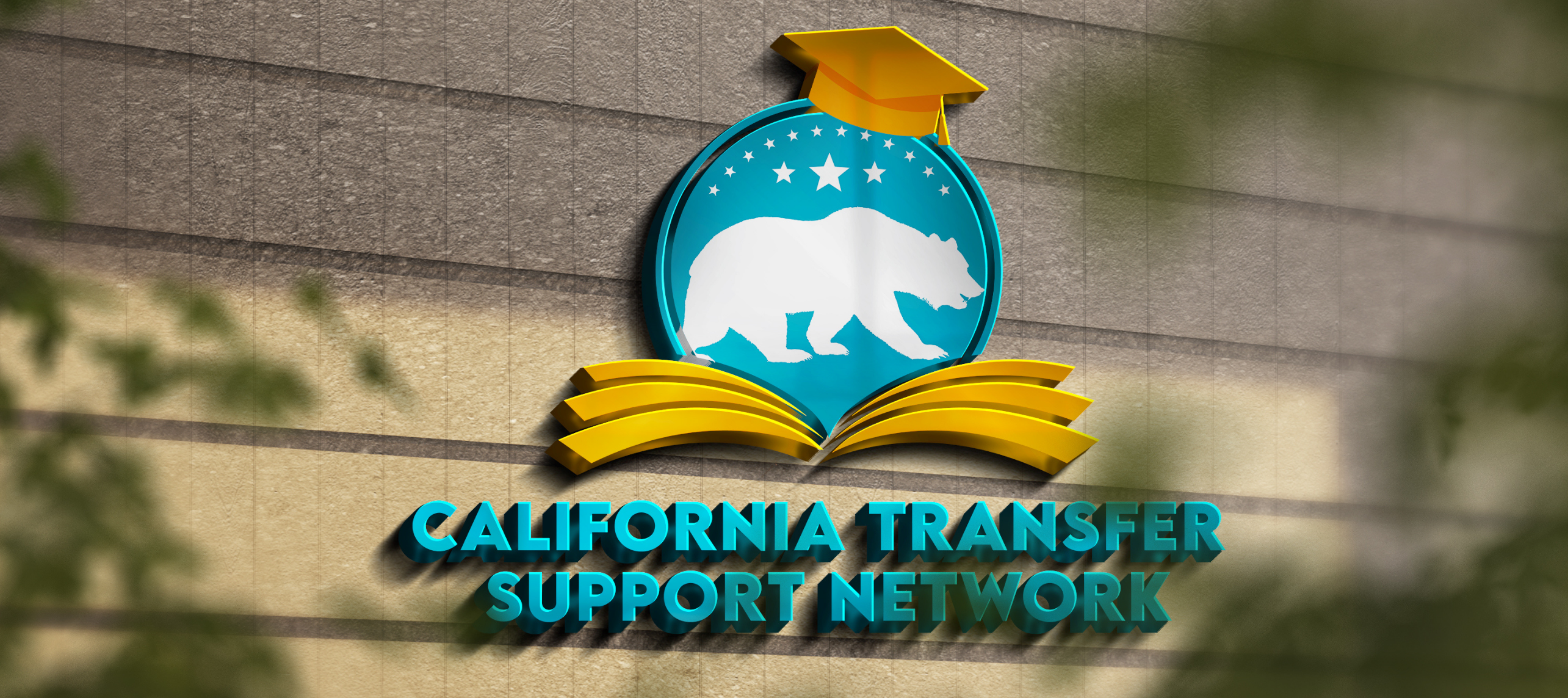 Wall Background 2569 × 1440 px e1655779883927 - California Transfer Support Network