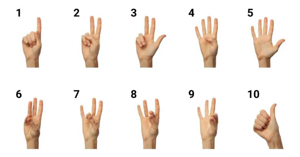  ASL Finger Spelling Number 1 to 10 on white background. Sign language for fall 2023